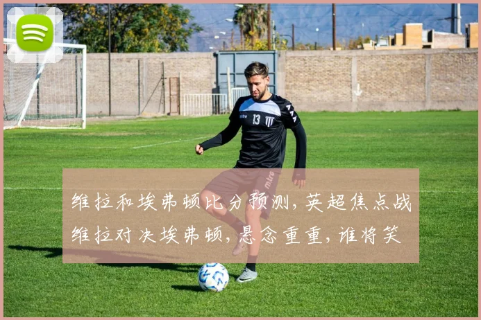 维拉和埃弗顿比分预测,英超焦点战维拉对决埃弗顿,悬念重重,谁将笑到最后