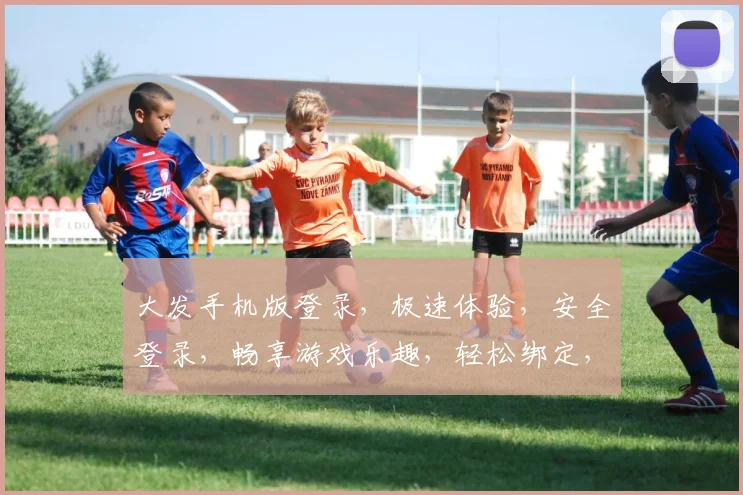 大发手机版登录，极速体验，安全登录，畅享游戏乐趣，轻松绑定，畅玩无忧