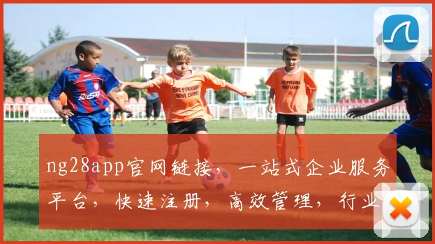 ng28app官网链接，一站式企业服务平台，快速注册，高效管理，行业领先，体验非凡