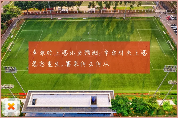 卓尔对上港比分预测,卓尔对决上港悬念重生,赛果何去何从