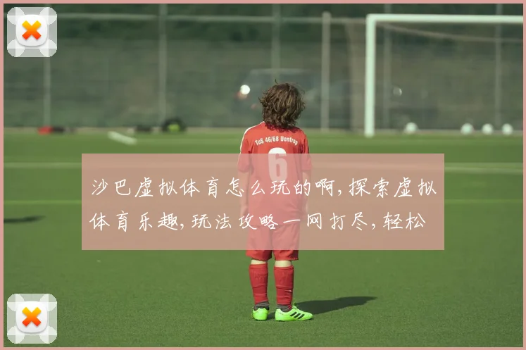 沙巴虚拟体育怎么玩的啊,探索虚拟体育乐趣,玩法攻略一网打尽,轻松上手